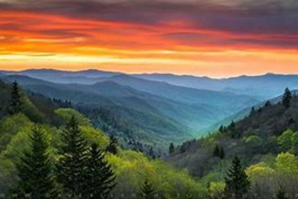 1 Mi To Dollywood Mins To All Attractions & Gsmnp Sevierville Zewnętrze zdjęcie
