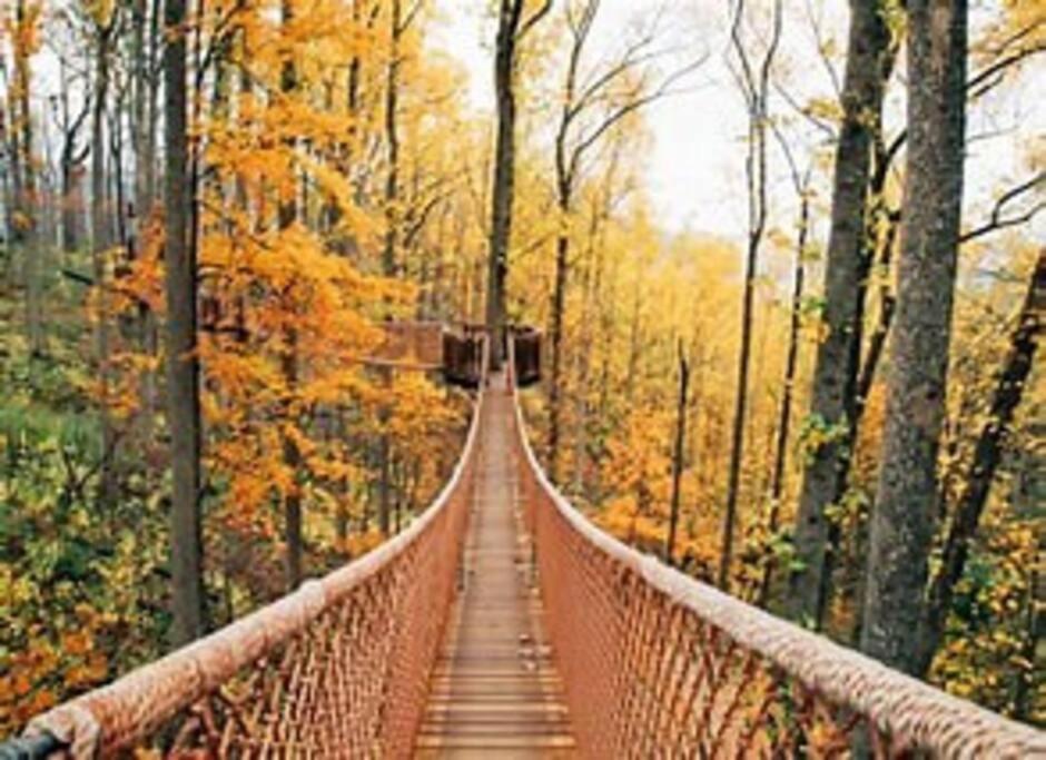 1 Mi To Dollywood Mins To All Attractions & Gsmnp Sevierville Zewnętrze zdjęcie